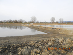 DSCN0129.JPG