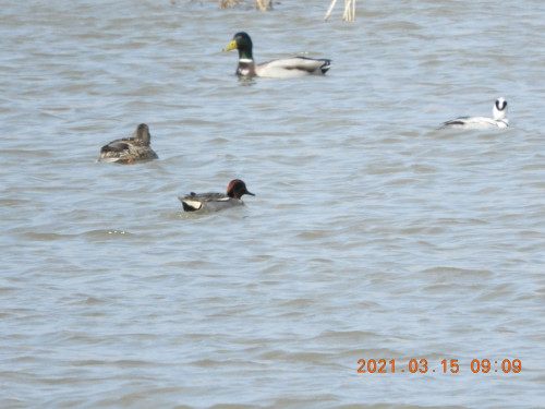 DSCN0169.JPG