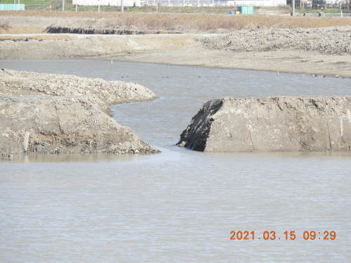 DSCN0199.JPG