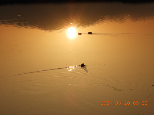 DSCN0236.JPG