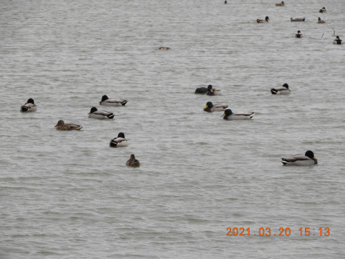 DSCN0261.JPG