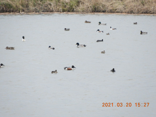 DSCN0278.JPG