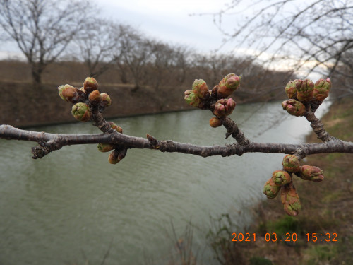 DSCN0282.JPG