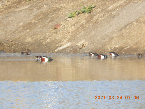 DSCN9654.JPG