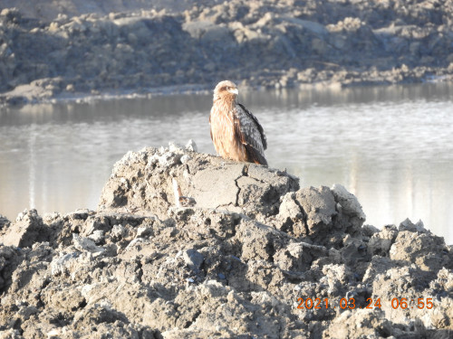 DSCN9649.JPG