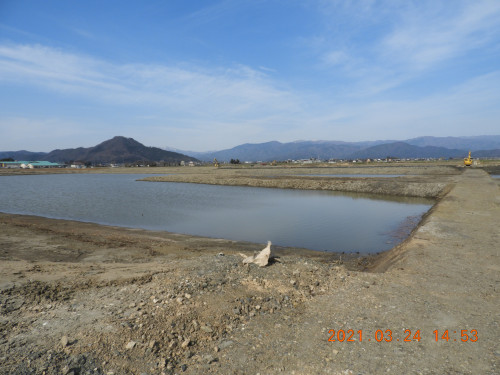 DSCN9666.JPG