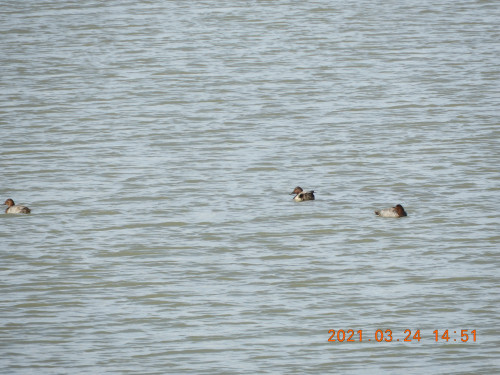 DSCN9664.JPG