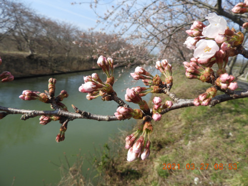 DSCN9684.JPG