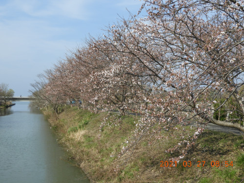 DSCN9686.JPG