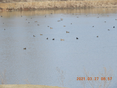 DSCN9688.JPG