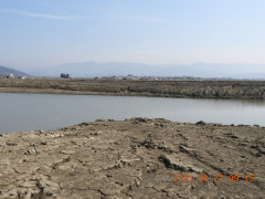 DSCN9702.JPG