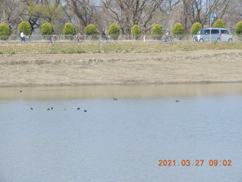 DSCN9692.JPG