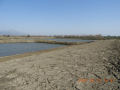 DSCN9795.JPG