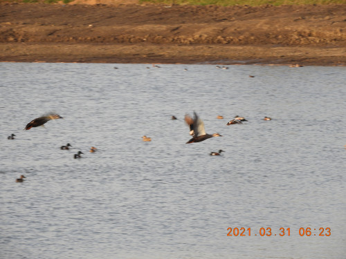 DSCN9738.JPG