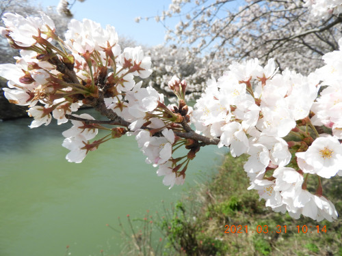 DSCN9762.JPG