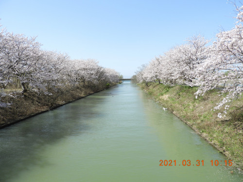 DSCN9763.JPG