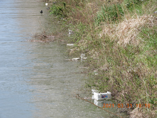 DSCN9767.JPG