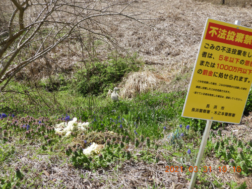 DSCN9766.JPG