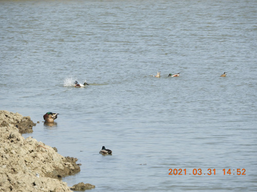 DSCN9807.JPG