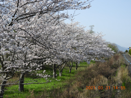 DSCN9810.JPG