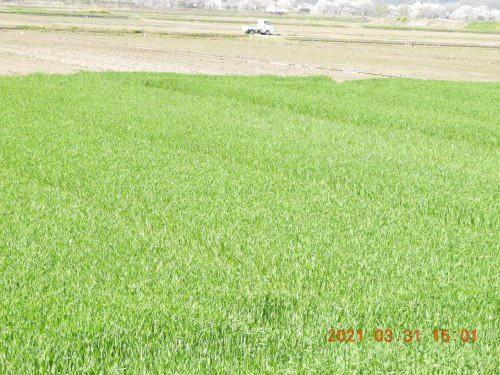 DSCN9816.JPG
