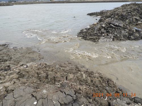 DSCN9877.JPG