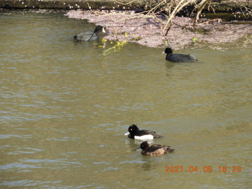 DSCN9885.JPG
