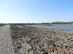 DSCN0001.JPG