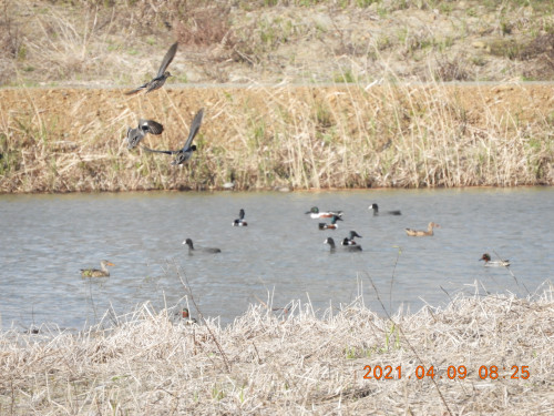 DSCN9997.JPG