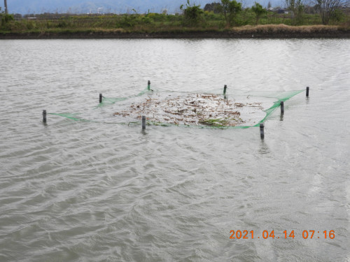 DSCN0079.JPG