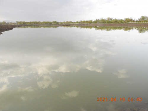 DSCN9670.JPG