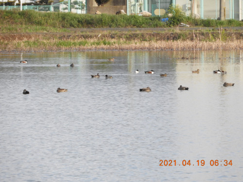 DSCN9665.JPG