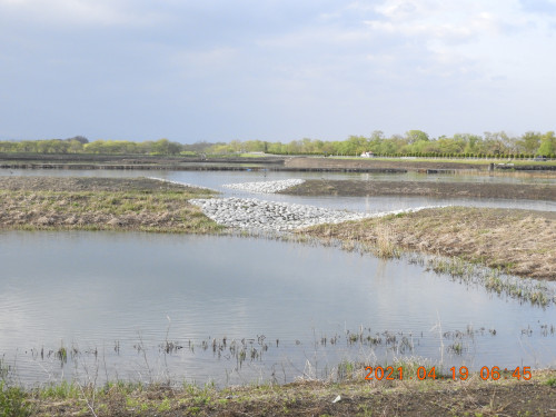DSCN9675.JPG