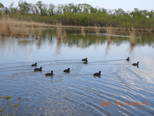 DSCN9681.JPG