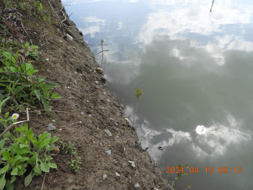 DSCN9684.JPG