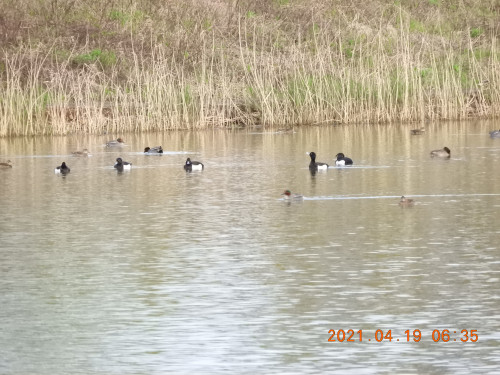 DSCN9668.JPG