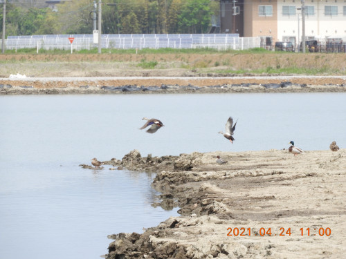 DSCN9737.JPG