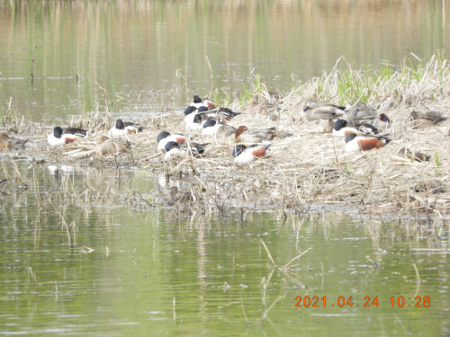 DSCN9708.JPG