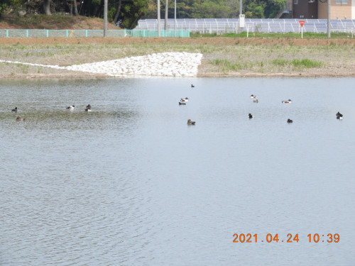 DSCN9710.JPG