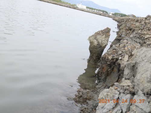 DSCN9704.JPG