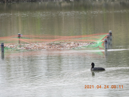DSCN9686.JPG