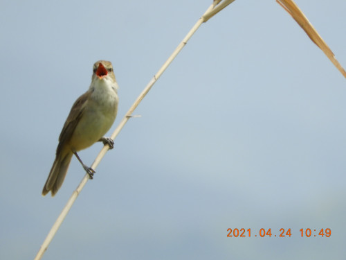 DSCN9734.JPG
