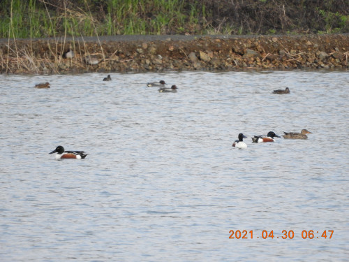 DSCN9771.JPG