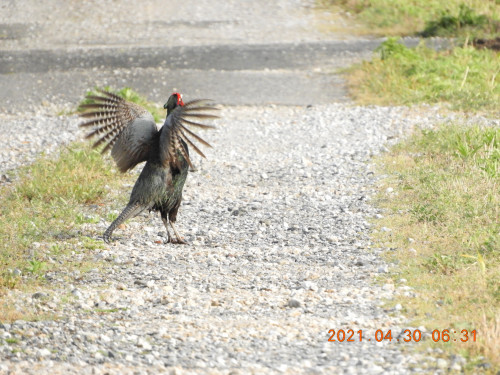 DSCN9759.JPG