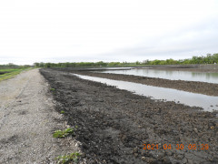 DSCN9764.JPG
