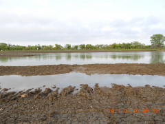 DSCN9765.JPG