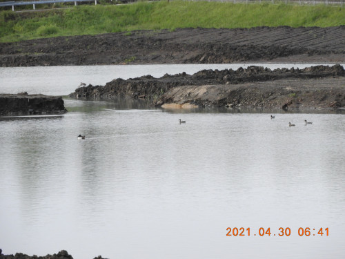 DSCN9768.JPG