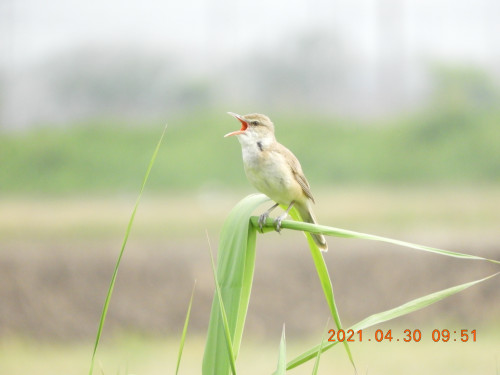 DSCN9802.JPG