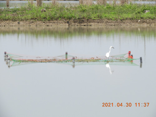 DSCN9824.JPG