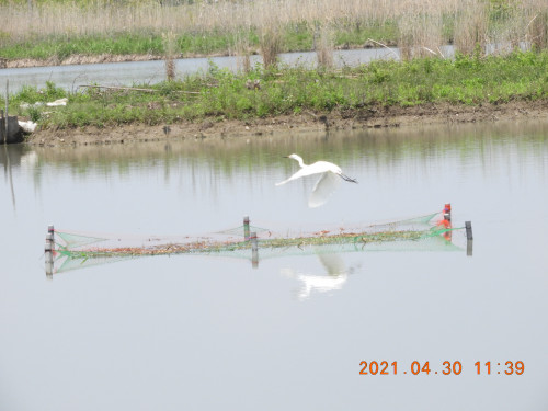 DSCN9825.JPG